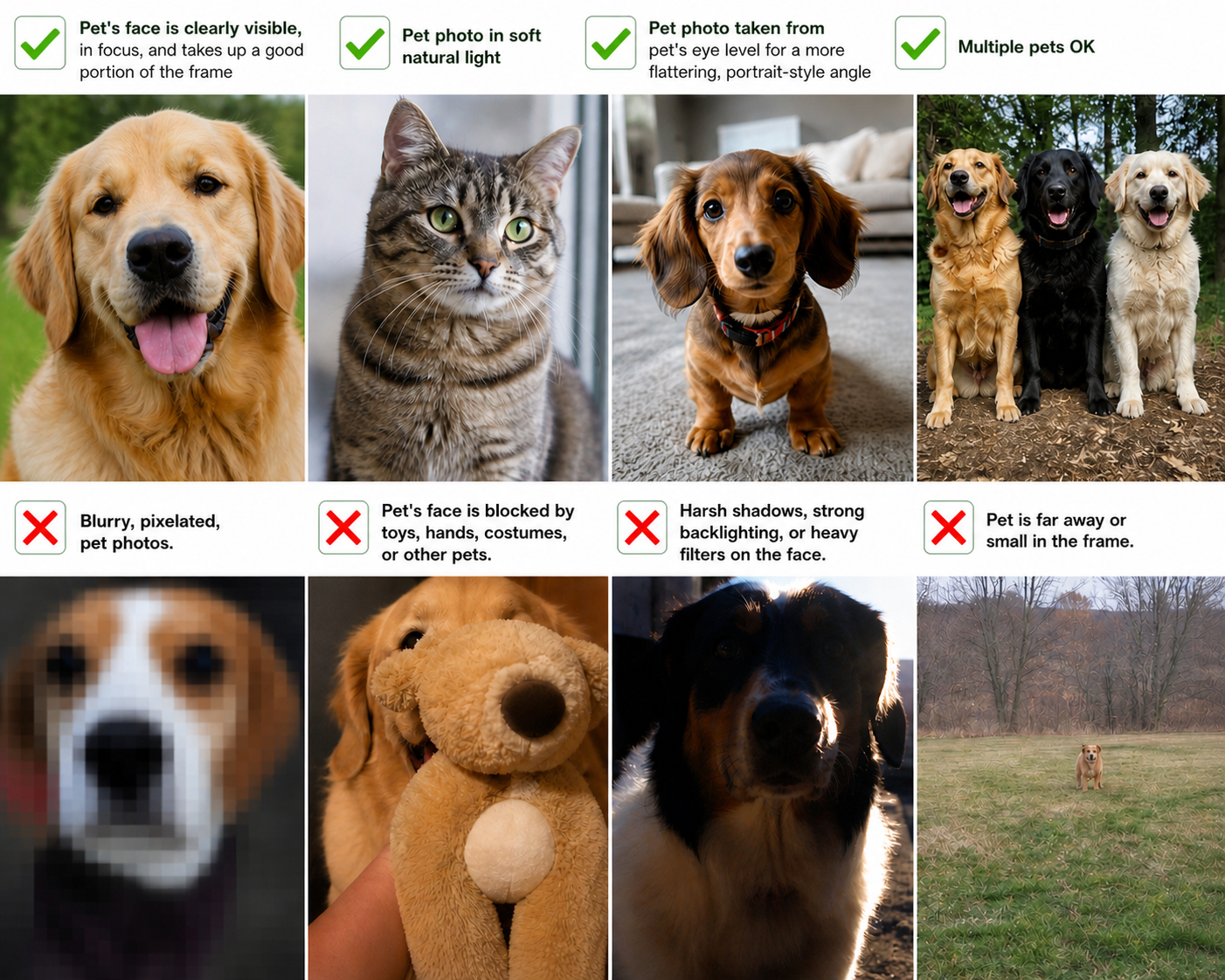 Dos and don'ts for uploading pet photos