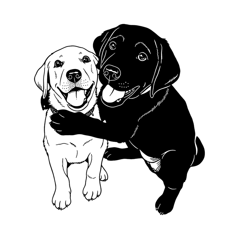 Pet as line art